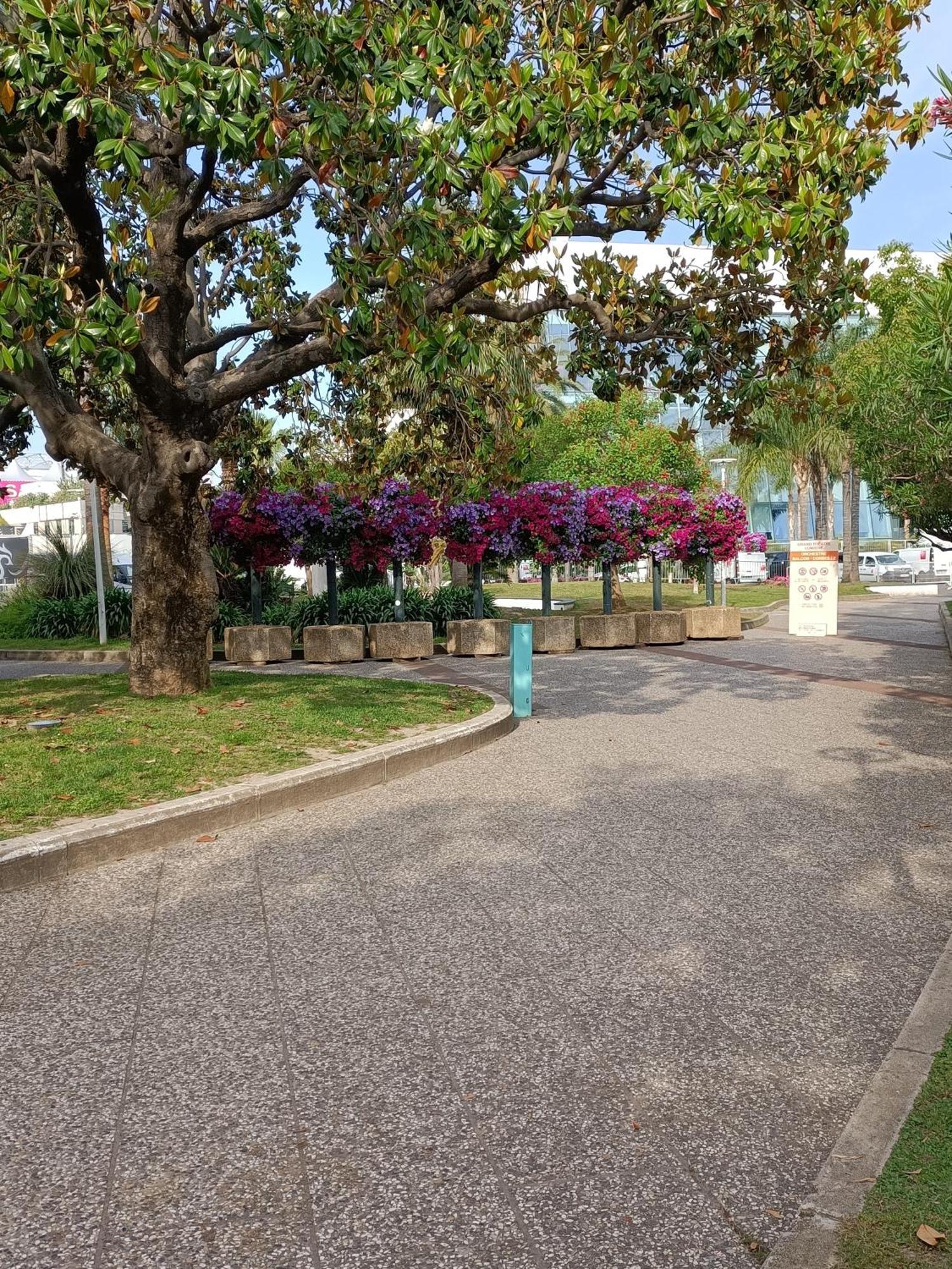 Gallieni Apartamento Cannes Exterior foto
